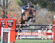 Da Rios,For Passion TosTour2013- S5 2440 : Arezzo, Arezzo Equestrian Centre, Da Rios Daniele, For Passion, Toscana Tour 2013, foto di Stefano Secchi ©